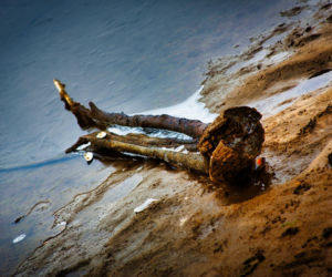 Rekordowo niski poziom wody w zalewie Brodzkim. Remont tamy i jazu Staszica w Brodach