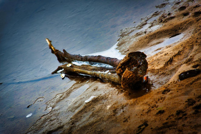 Rekordowo niski poziom wody w zalewie Brodzkim. Remont tamy i jazu Staszica w Brodach