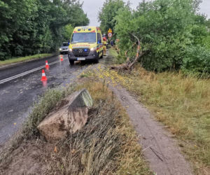 Tragiczny wypadek na ul. Chemicznej w Bydgoszczy! Nie żyje pieszy