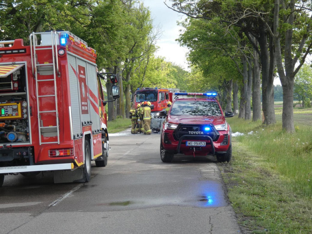 Zwęglone zwłoki w elektrycznym oplu. Samochód uderzył w drzewo i stanął w płomieniach
