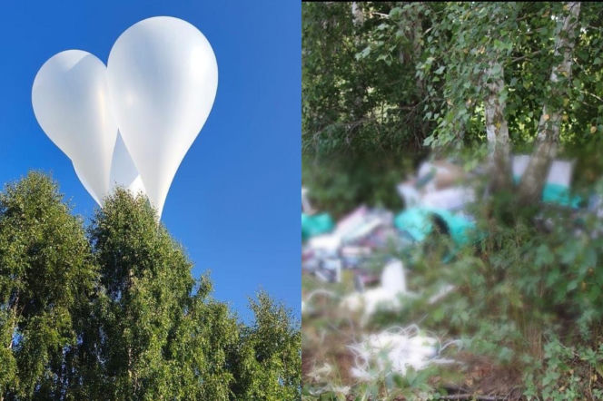 Białe balony nad drzewami, a obok na wstawce paczki papierosów w lesie. O przemycie pod Augustowem pisze Eska Białystok.