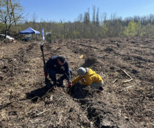 Siedleccy policjanci zasadzili drzewa w Golicach w ramach akcji „Plant a Tree – Green IPA Project”
