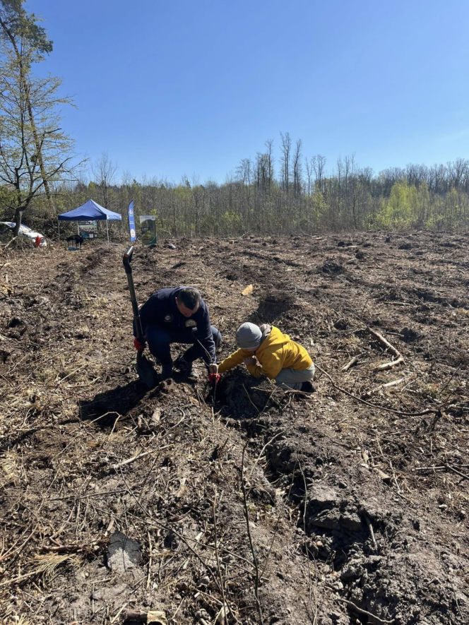 Siedleccy policjanci zasadzili drzewa w Golicach w ramach akcji „Plant a Tree – Green IPA Project”