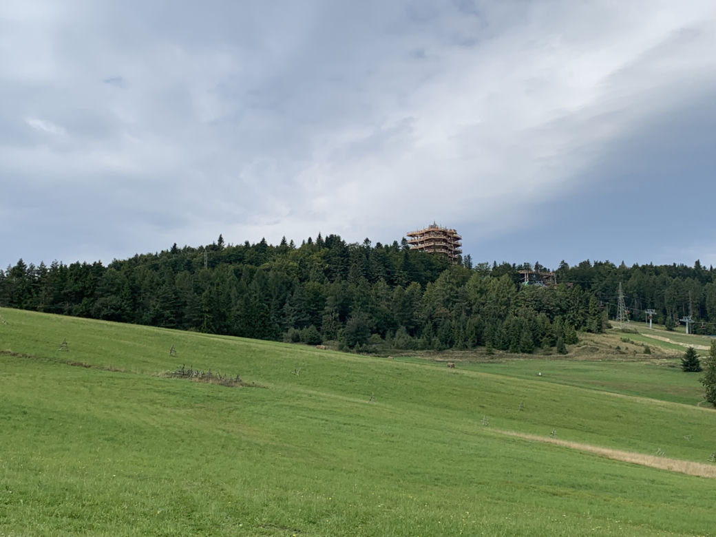 Ścieżka w koronach drzew Krynica Słotwiny