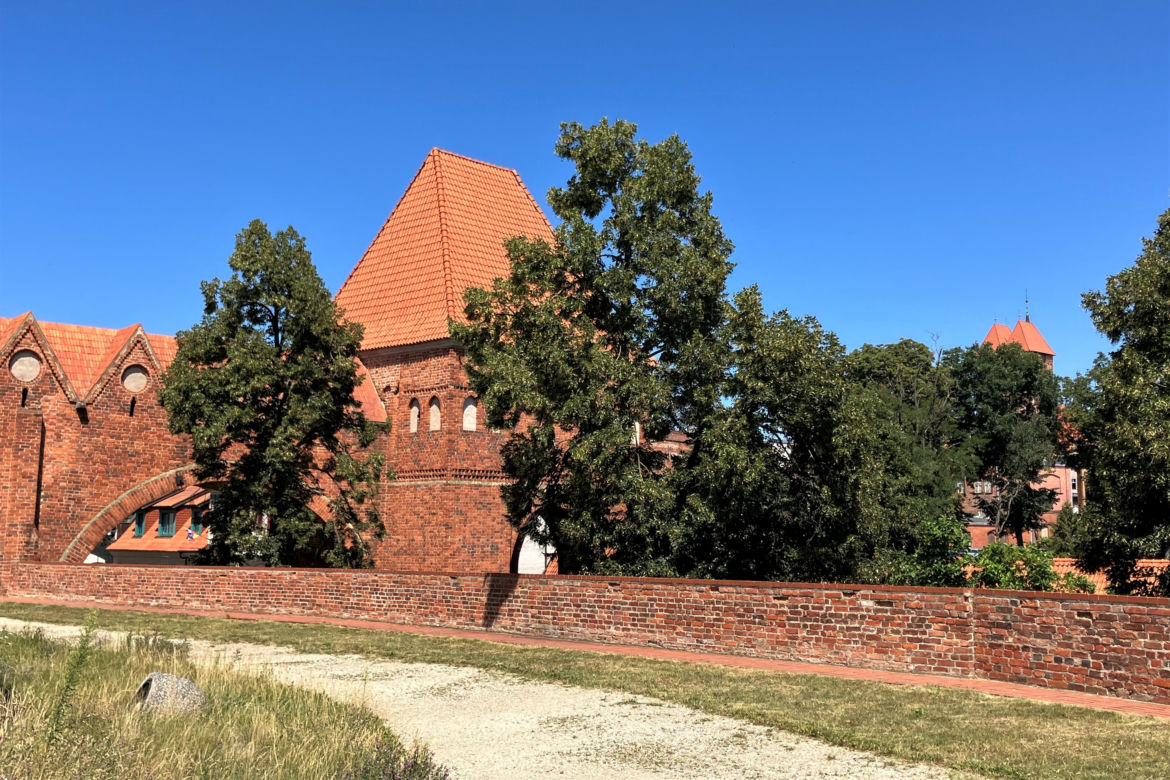 Zamek Krzyżacki w Toruniu 