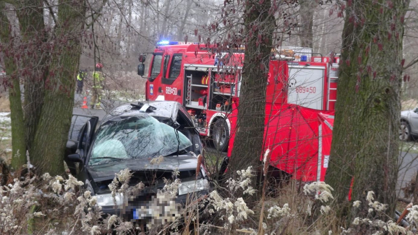 Tragedia pod Wołominem. Wypadła z drogi, rozbiła się na drzewie. 19-latka nie żyje