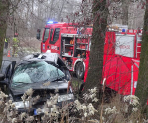 Tragedia pod Wołominem. Wypadła z drogi, rozbiła się na drzewie. 19-latka nie żyje