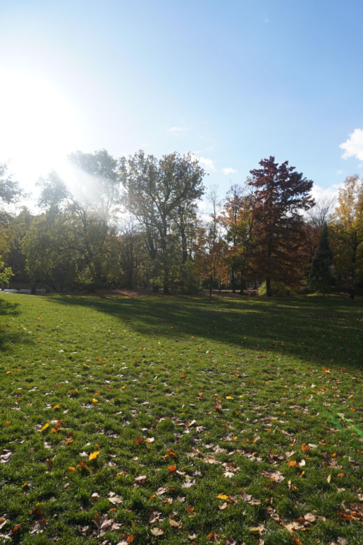 Park Wilsona jesienią