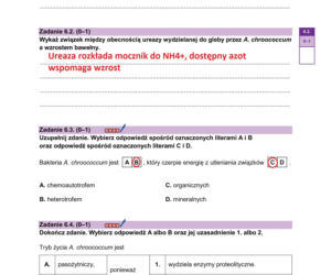 Matura próbna 2026 - biologia. Wszystkie odpowiedzi do arkusza CKE z biologii 14.01.2026