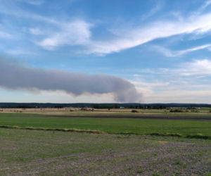 Pożar lasu koło Biłgoraja