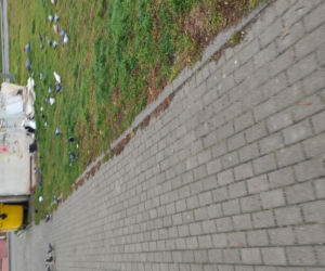 Psychopaci z Olsztyńskiej działają w tych okolicach. Nastolatki z Torunia robią straszne rzeczy