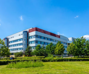 Kampus SGGW w Warszawie