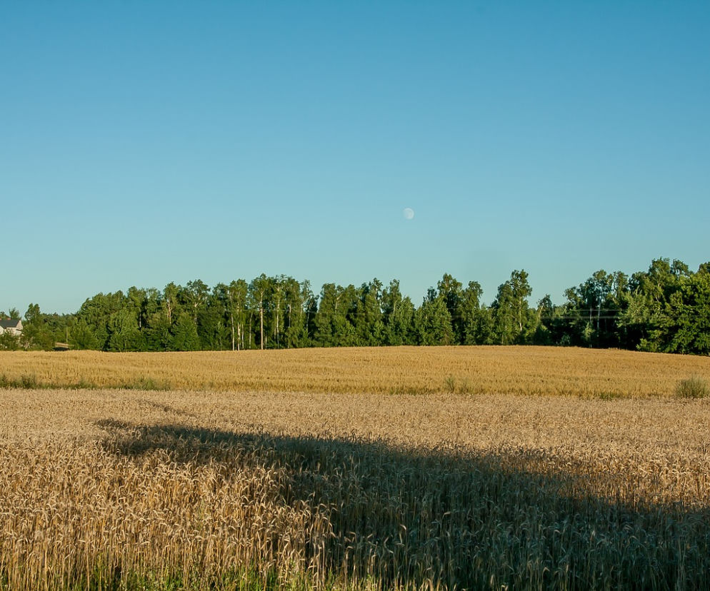 Lubelskie