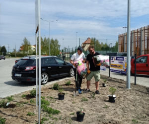 W czynie społecznym odpicowali ogród przy nowej szkole w Iławie!