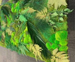 Green Decor
