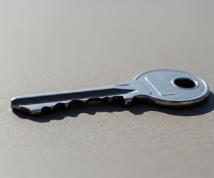 Kamil Stanek skazany. Koniec sagi o pumie Nubii?