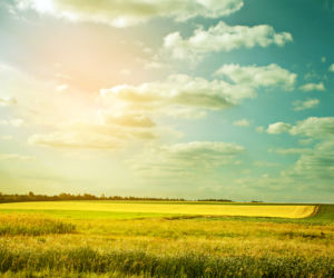 shutterstock_110588153