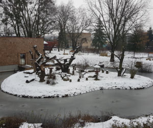 ZOO Toruń zaprasza!