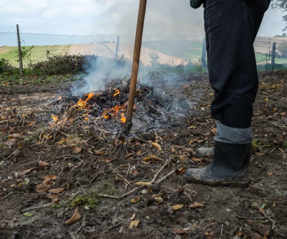 Dostał 5000 zł kary za wiosenne porządki. Jeden błąd na działce, który popełnia niemal każdy