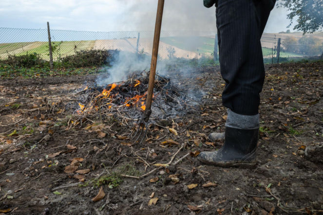 Dostał 5000 zł kary za wiosenne porządki. Popełnił jeden błąd na działce