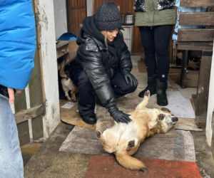 Joanna Krupa odwiedza schronisko dla zwierząt