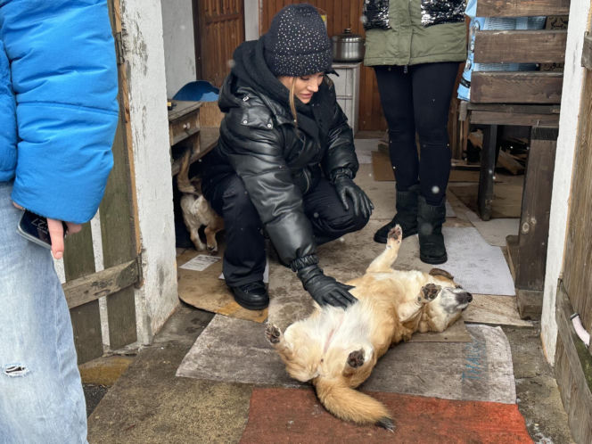 Joanna Krupa odwiedza schronisko dla zwierząt