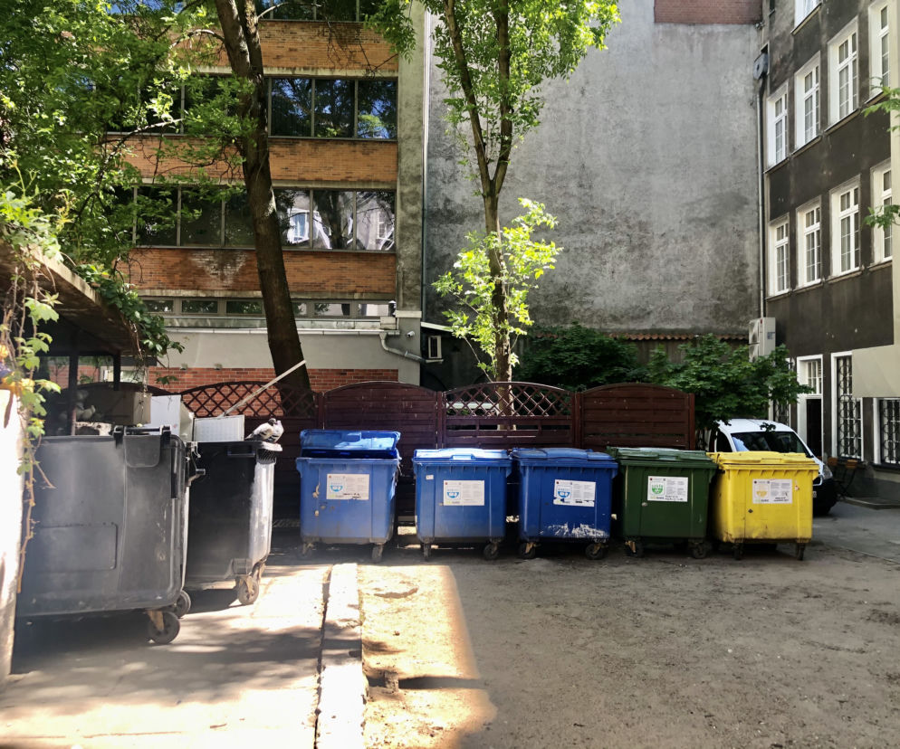 Stare lodówki, opakowania po pizzach i szczury. Czy tak powinno wyglądać podwórko w samym sercu Głównego Miasta? 