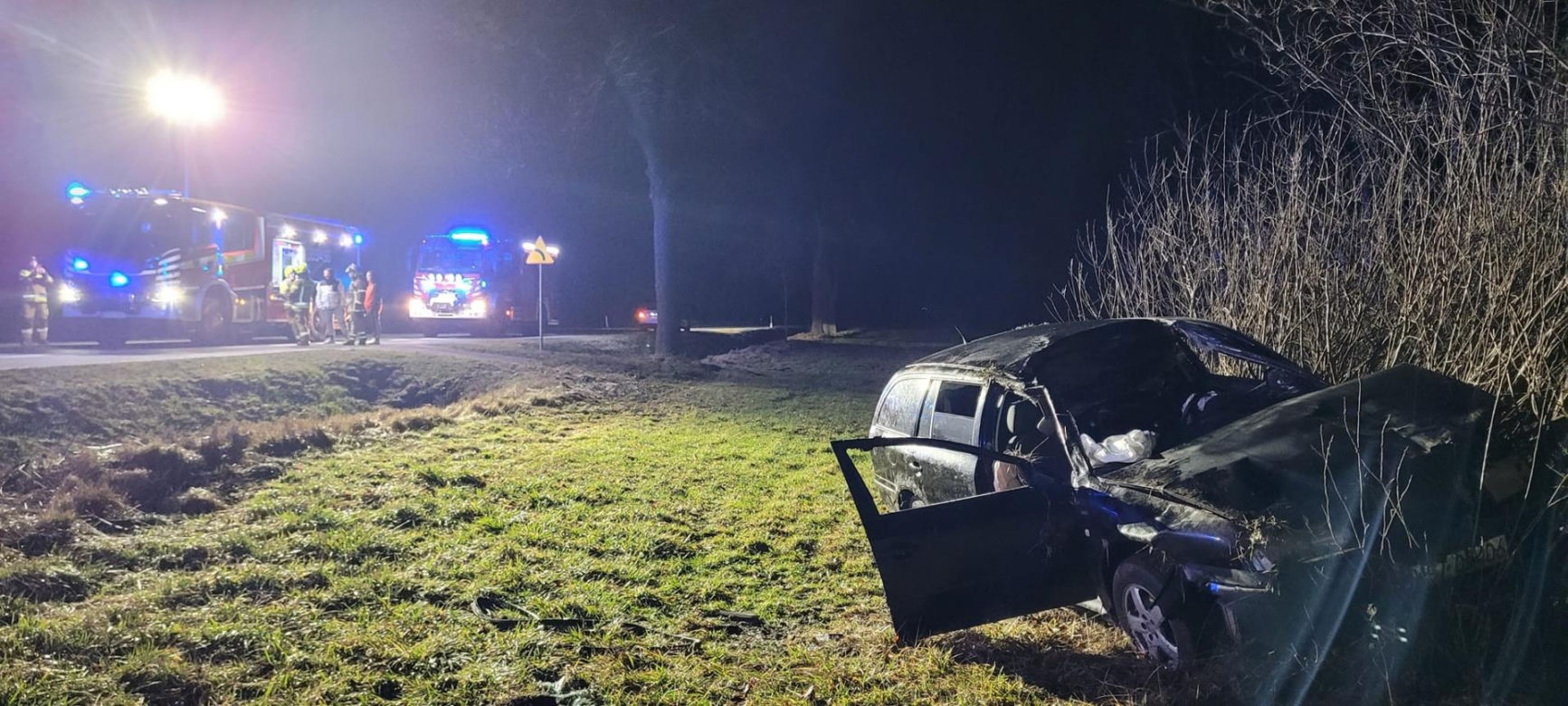 Potężny łoś wyskoczył z przydrożnego rowu. Przebił racicami dach auta i poważnie ranił 29-latkę