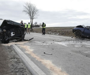 MAKABRYCZNY wypadek w Rudniku Kolonii. 71-latek ZGINĄŁ na miejscu [ZDJĘCIA]
