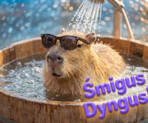 Kartki na Lany Poniedziałek