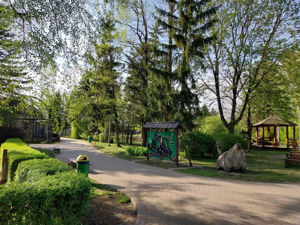 Wiosenny spacer w zamojskim zoo