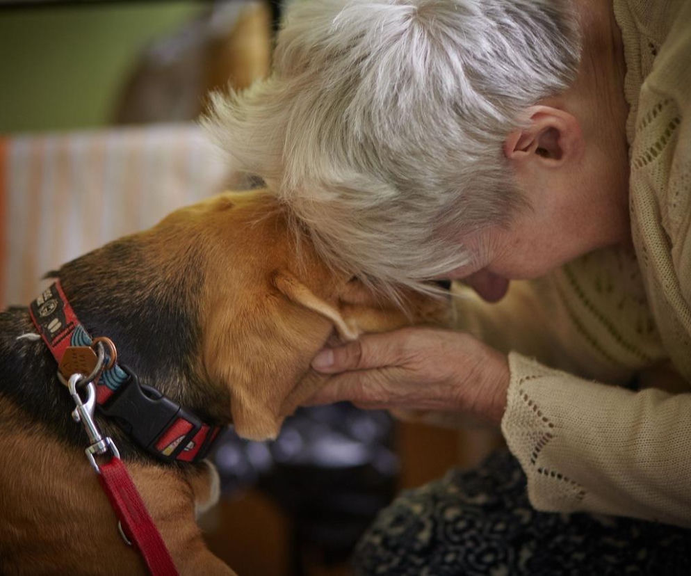 Mars Polska i Fundacji Dr Clown