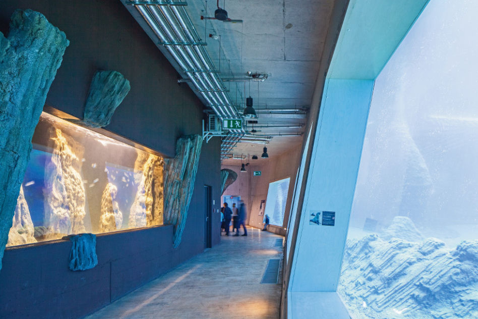 Afrykarium we Wrocławiu 