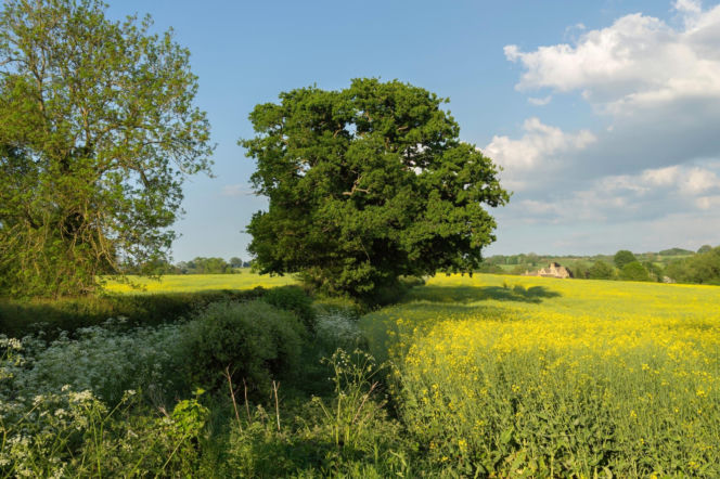 Wieś, zdjęcie ilustracyjne