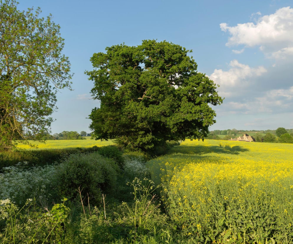 To najmniejsza wieś w Polsce