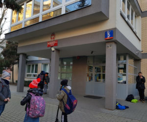 Szyją śpiwory dla koali i kangurów