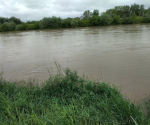 Wysoki Dunajec pod Tarnowem! Biała przy Azotach też przybiera