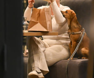 Monika Richardson z dzieckiem i pieskiem