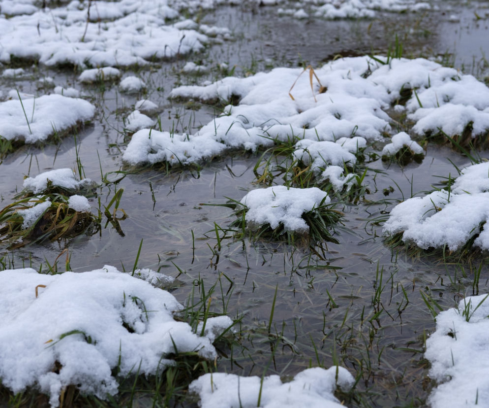 ALERT hydrologiczny dla siedmiu województw. IMGW ostrzega przed powodzią