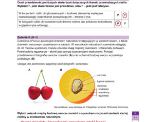 Matura próbna 2026 - biologia. Wszystkie odpowiedzi do arkusza CKE z biologii 14.01.2026