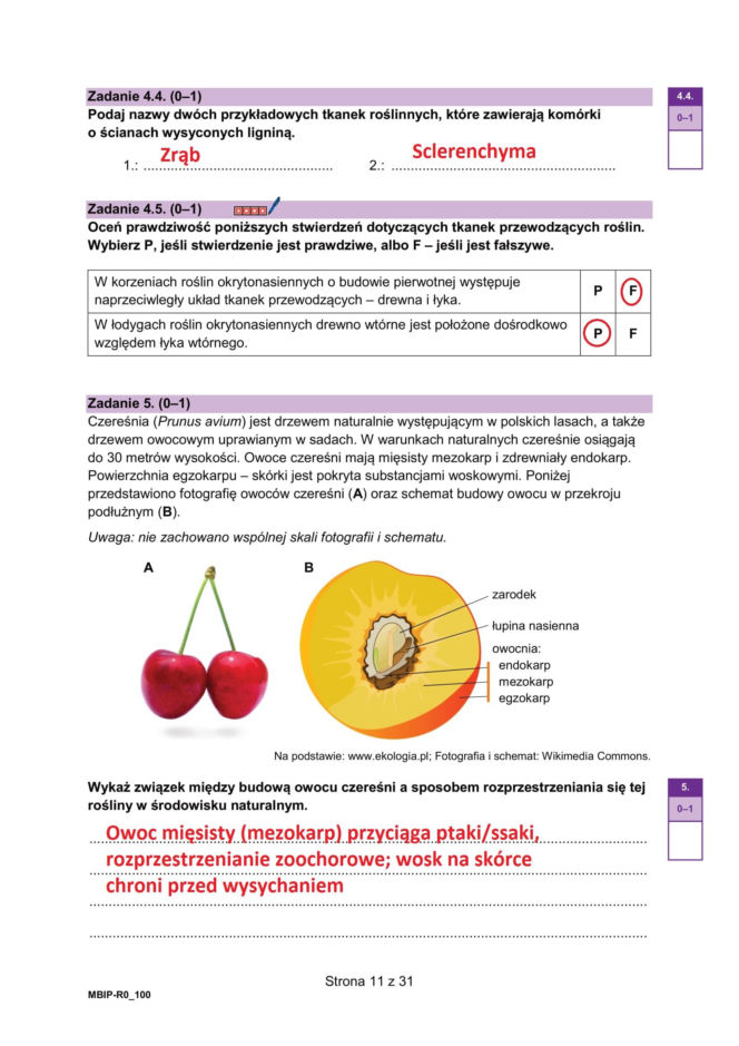 Matura próbna 2026 - biologia. Wszystkie odpowiedzi do arkusza CKE z biologii 14.01.2026