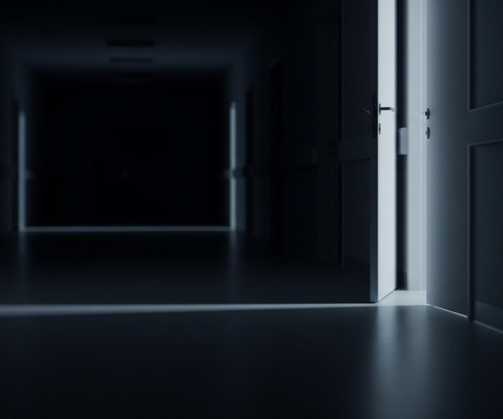 Ciemny korytarz rozciąga się w głąb obrazu, gdzie jego koniec tonie w nieprzeniknionej czerni, tworząc perspektywę uciekającą w dal. Po prawej stronie, uchylone drzwi wpuszczają jasne, białe światło, które oświetla fragment podłogi i prawy panel drzwi. Światło to tworzy poziomą, jasną smugę na ciemnej podłodze korytarza oraz odbija się na błyszczącej powierzchni, rozjaśniając dolny prawy róg.