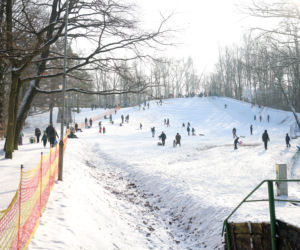 To najlepsza zimowa, darmowa atrakcja w Katowicach. Tłumy na torze saneczkowym