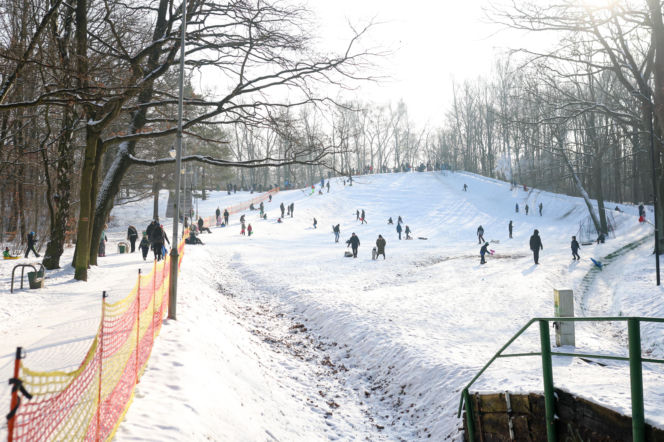 To najlepsza zimowa, darmowa atrakcja w Katowicach. Tłumy na torze saneczkowym