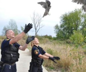 Interwencje Eko Patrolu w Warszawie