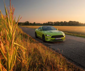 Ford Mustang GT 5.0 V8 55 Edition