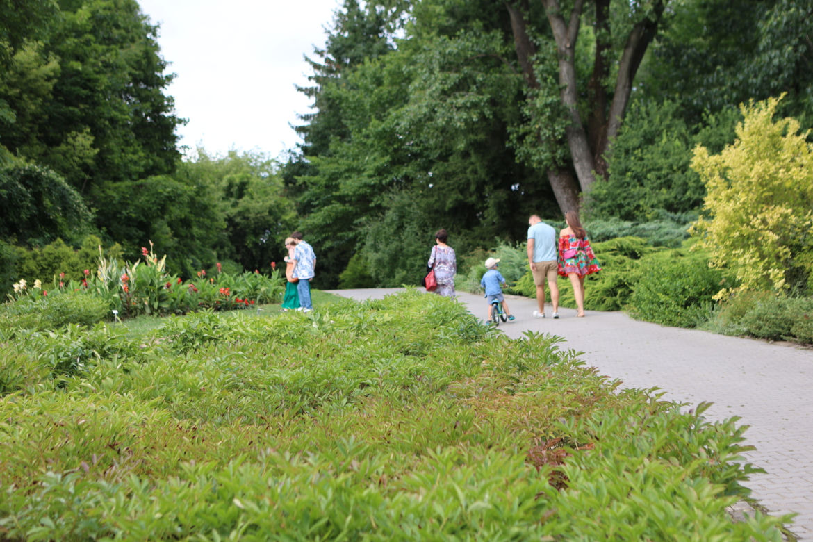 Kwitnący Ogród Botaniczny UMCS w Lublinie