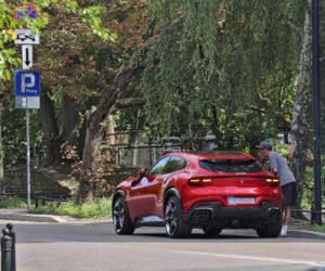 Kuba, święta krowa ulicy