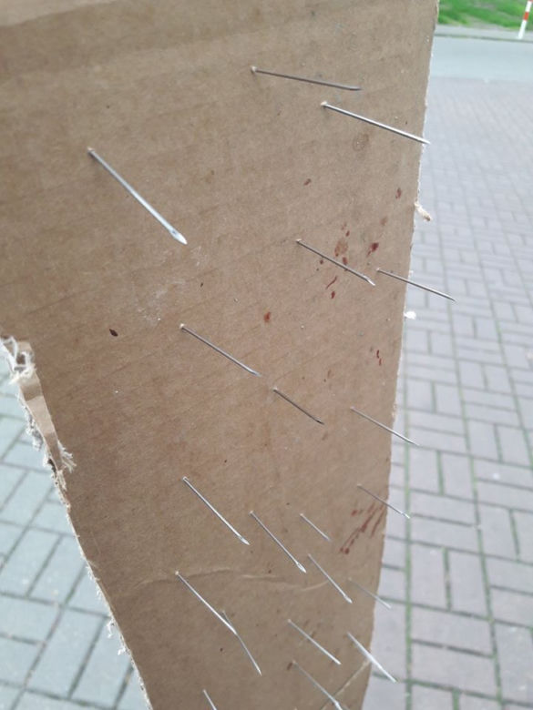 Makabryczna pułapka na zwierzęta w Katowicach. Kto na ulicy postawił kartonowy pas nabity igłami?
