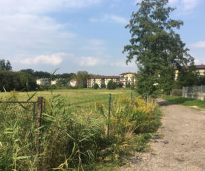 Nowe osiedle na Ruczaju w Krakowie. Na łąkach przy Kobierzyńskie wyrosną bloki. Megapolis wybuduje też drogę